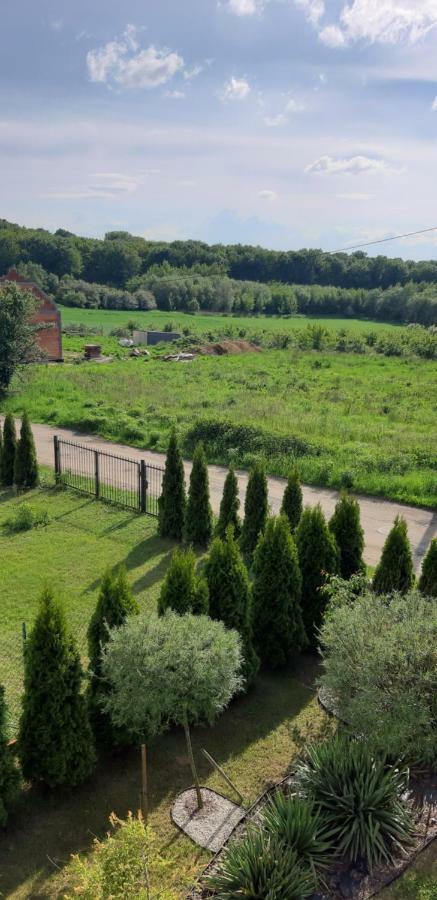 Przyjazny Domek Tarnowskie Gory Exterior photo